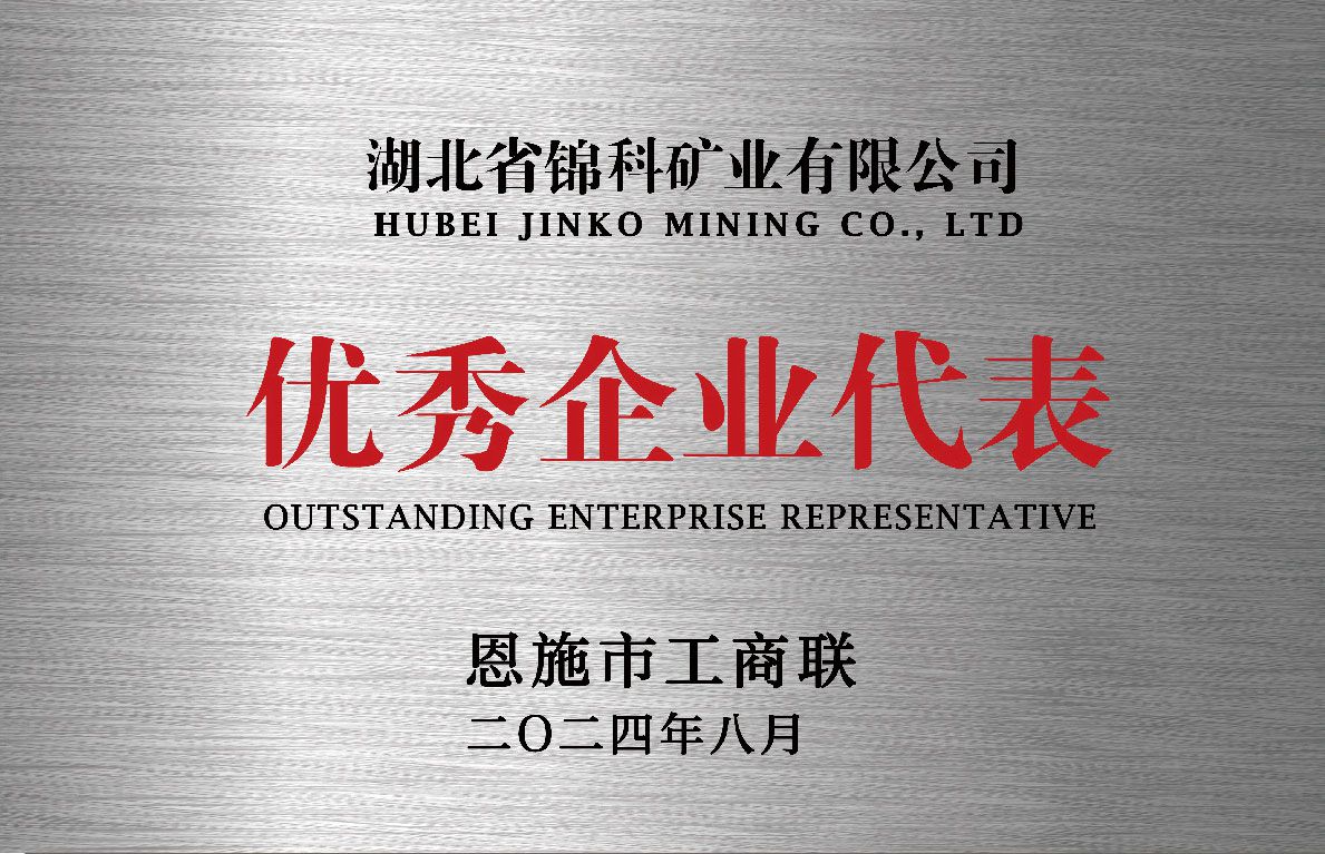 优秀企业代表